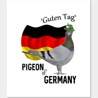 Pigeon of Germany Greeting Posters and Art